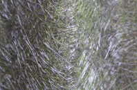 Pyrford Green fibreglass roof work